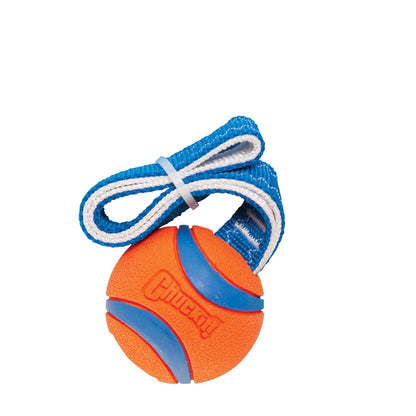 Chuckit! Ultra Tug M
