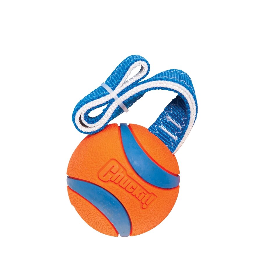 Chuckit! Ultra Tug L