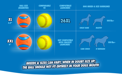Chuckit! Ultra Squeaker Ball M (2-pack)