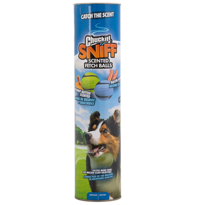 Chuckit sniff fetch balls md canister 4pk