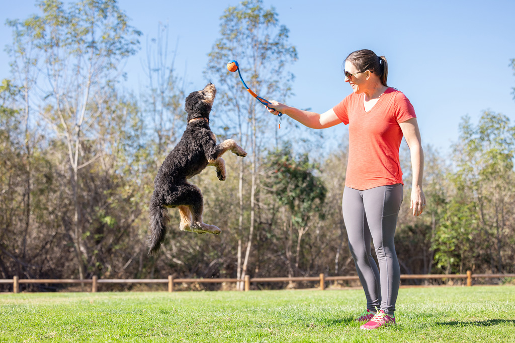 Chuckit Fetch &amp; fold mini 18m launcher