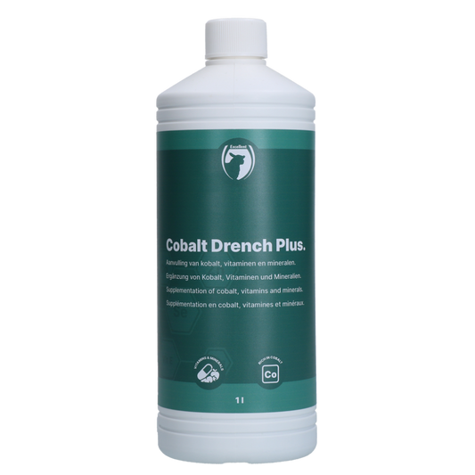 Excellent Cobalt Drench Plus 1 l
