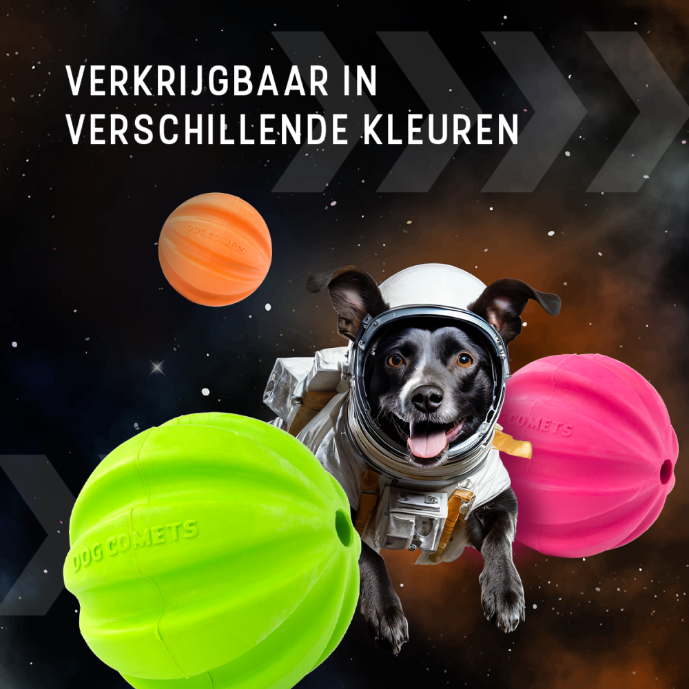 Dog Comets Swift Tuttle Met Touw Oranje