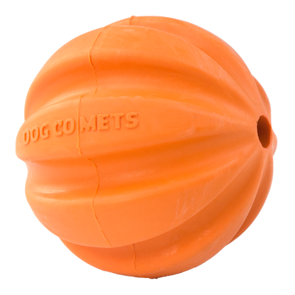 Dog Comets Swift Tuttle Oranje