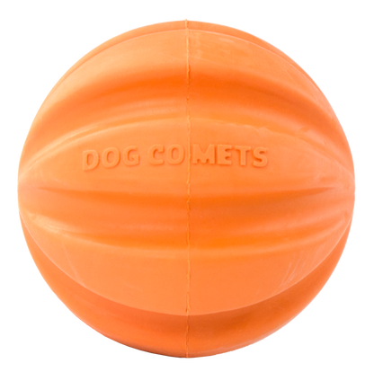 Dog Comets Swift Tuttle Oranje