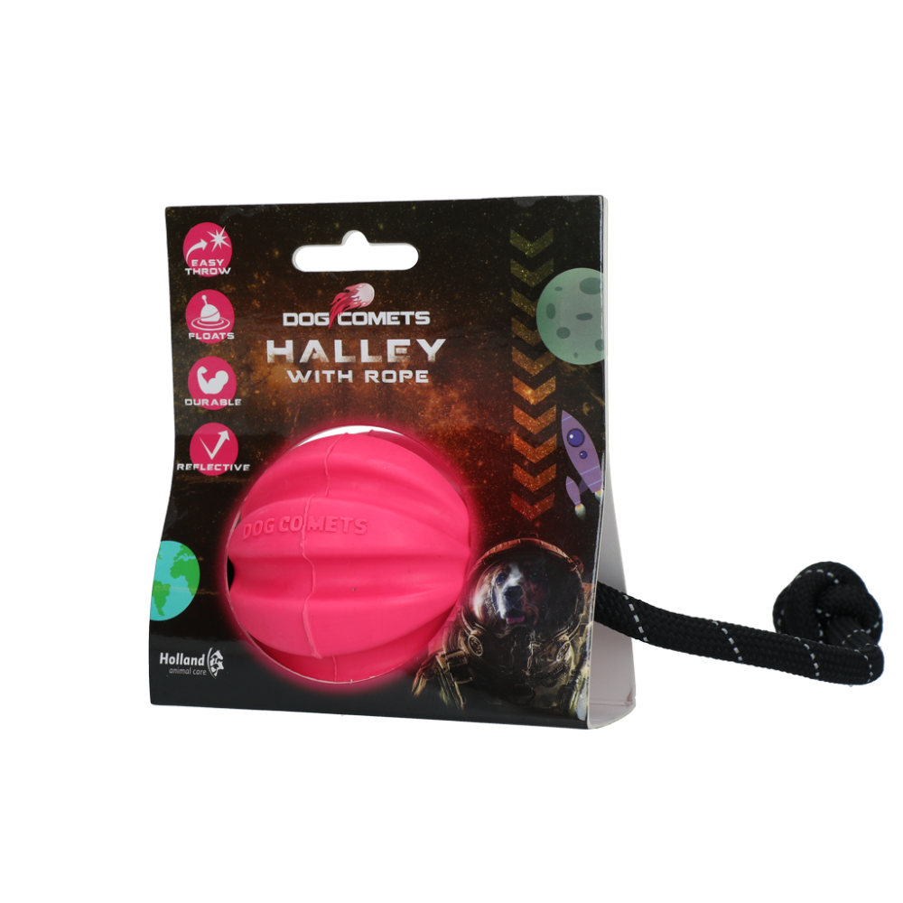 Dog Comets Halley Met Touw Roze