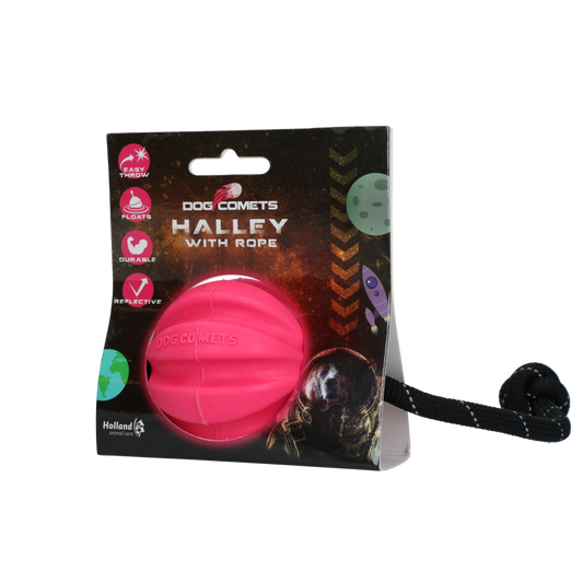 Dog Comets Halley Met Touw Roze