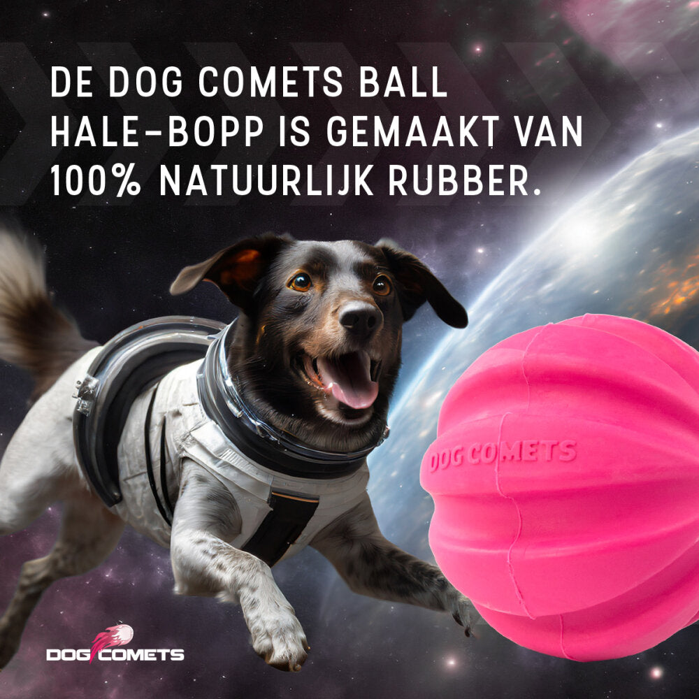 Dog Comets Halley Met Touw Roze