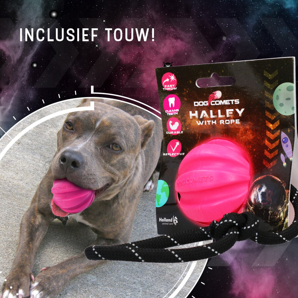 Dog Comets Halley Met Touw Roze