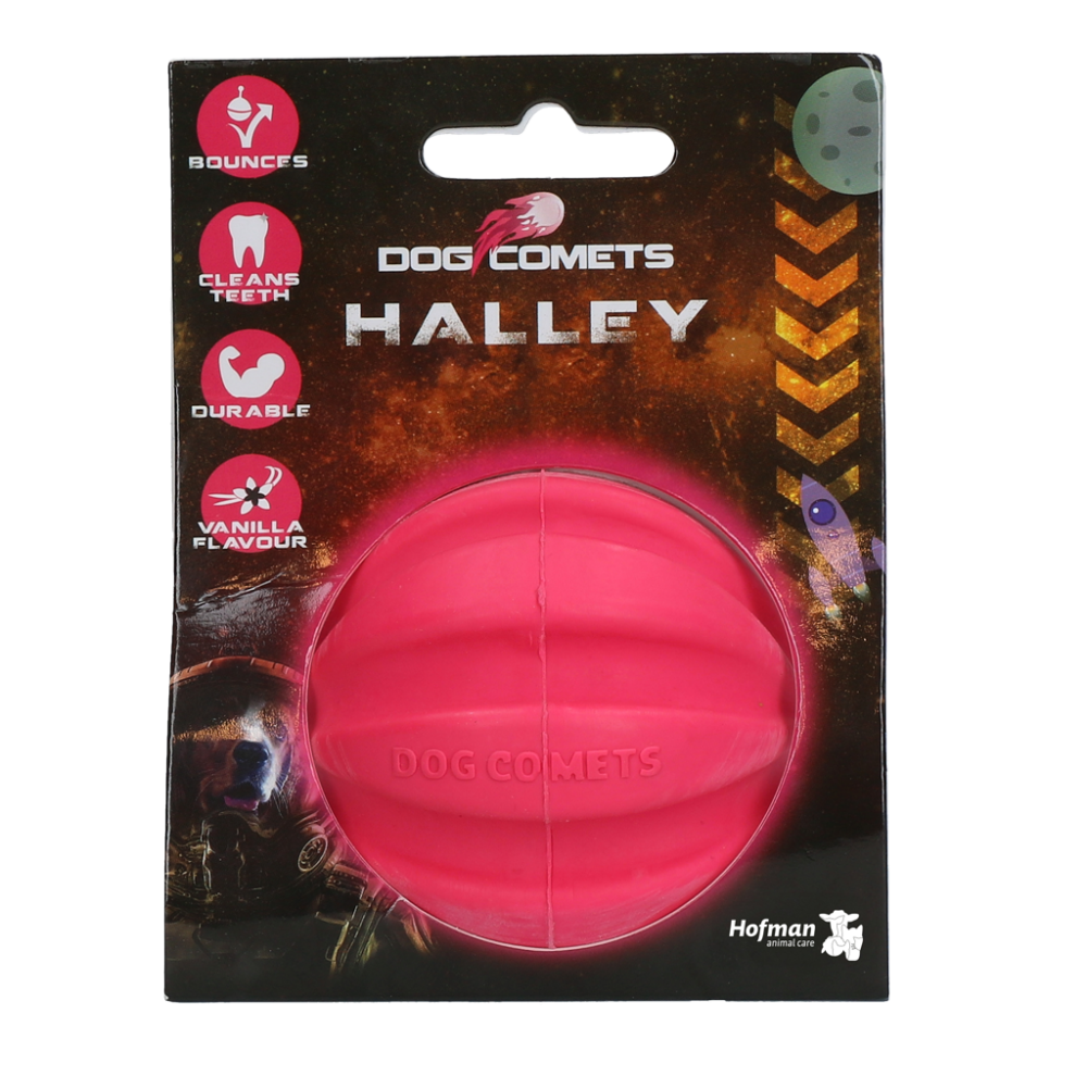 Dog Comets Halley Roze