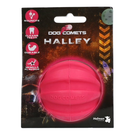 Dog Comets Halley Roze