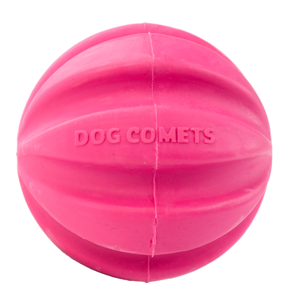 Dog Comets Halley Roze