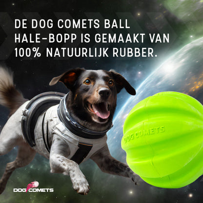 Dog Comets Hale Bopp Met Touw Groen