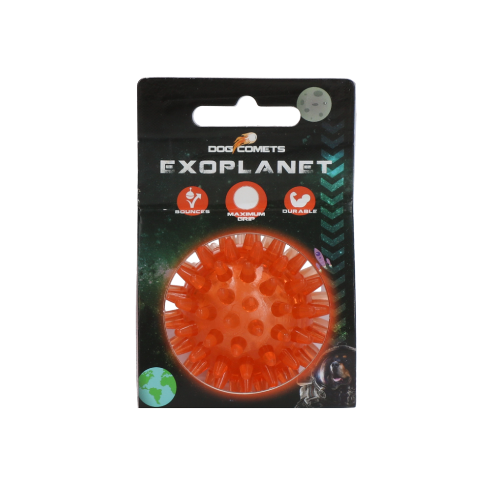 Dog Comets Exoplanet Egelbal S Oranje