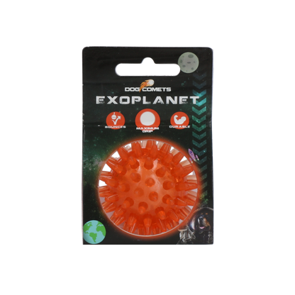 Dog Comets Exoplanet Egelbal S Oranje