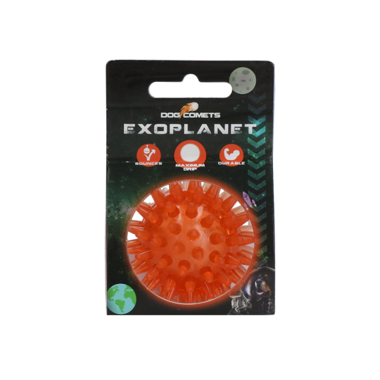 Dog Comets Exoplanet Egelbal S Oranje