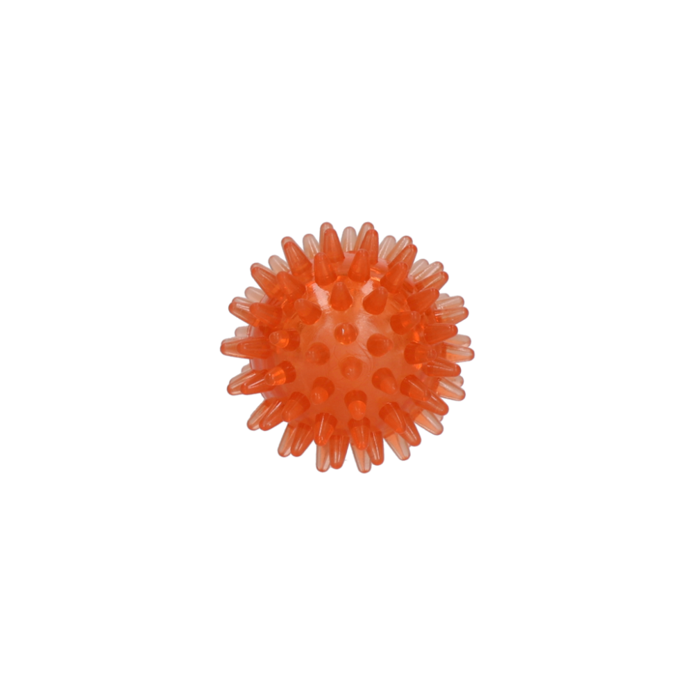 Dog Comets Exoplanet Egelbal S Oranje