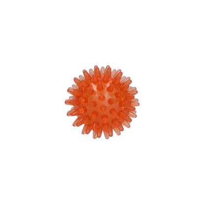 Dog Comets Exoplanet Egelbal S Oranje
