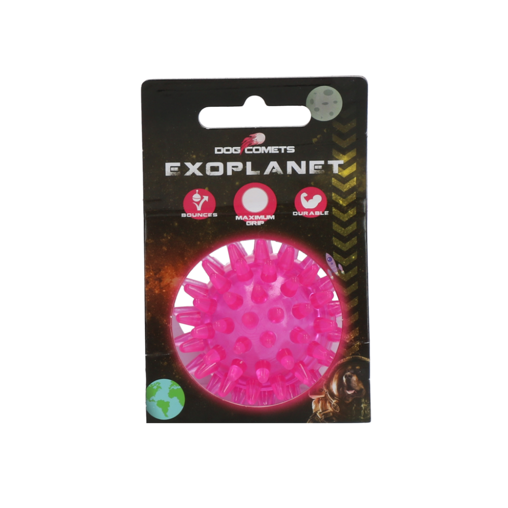 Dog Comets Exoplanet Egelbal S Roze