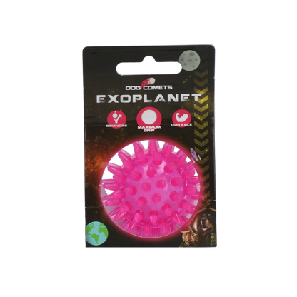 Dog Comets Exoplanet Egelbal S Roze
