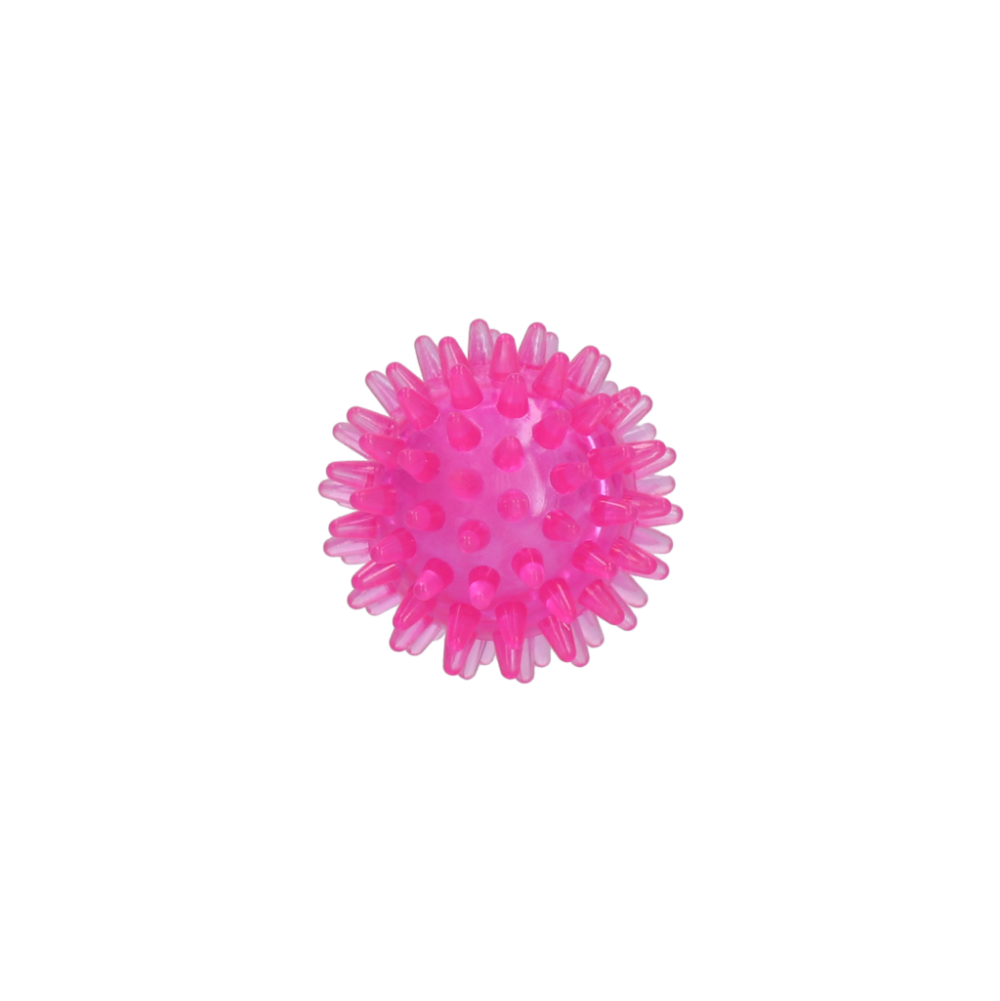 Dog Comets Exoplanet Egelbal S Roze