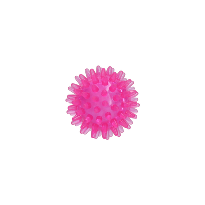 Dog Comets Exoplanet Egelbal S Roze