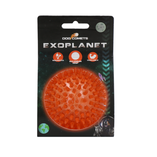 Dog Comets Exoplanet Egelbal M Oranje