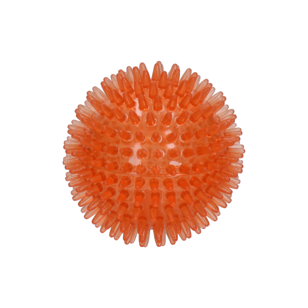 Dog Comets Exoplanet Egelbal M Oranje