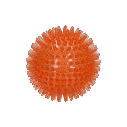 Dog Comets Exoplanet Egelbal M Oranje