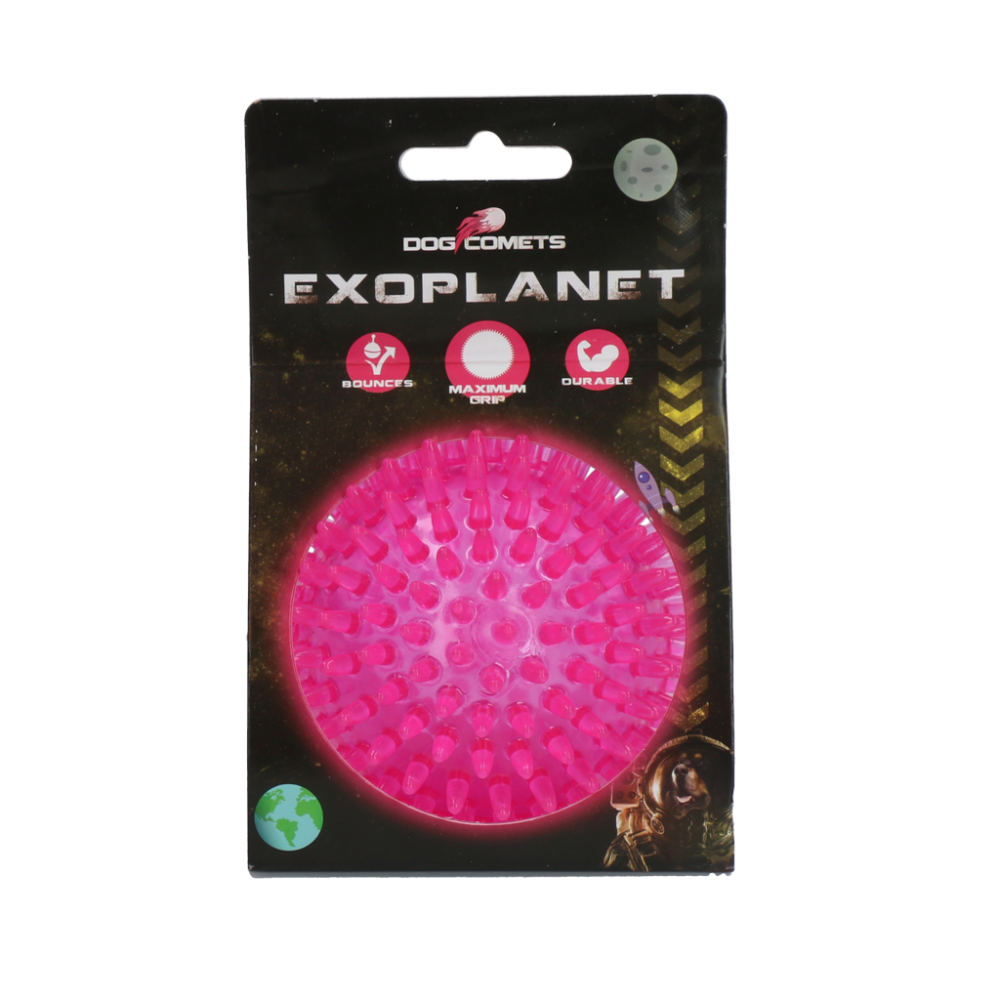 Dog Comets Exoplanet Egelbal M Roze