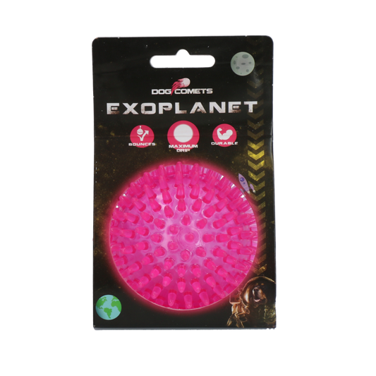 Dog Comets Exoplanet Egelbal M Roze