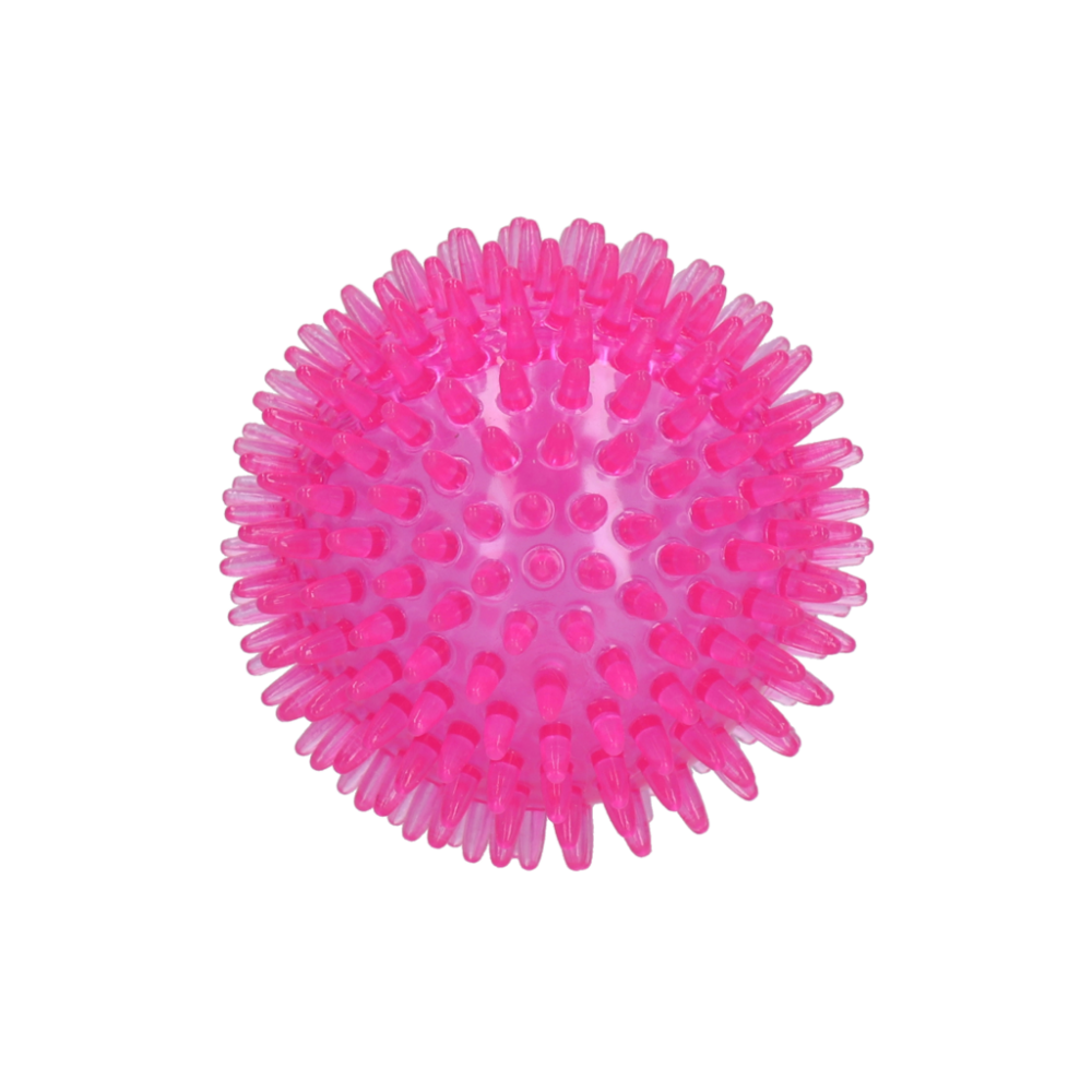 Dog Comets Exoplanet Egelbal M Roze