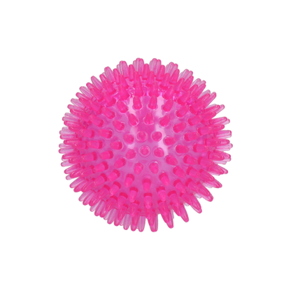Dog Comets Exoplanet Egelbal M Roze