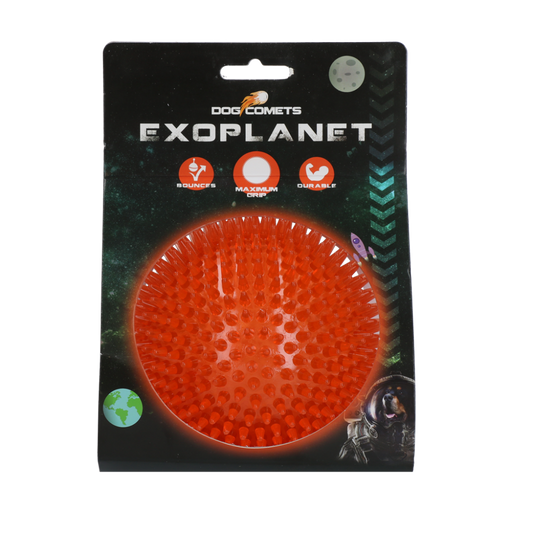 Dog Comets Exoplanet Egelbal L Oranje