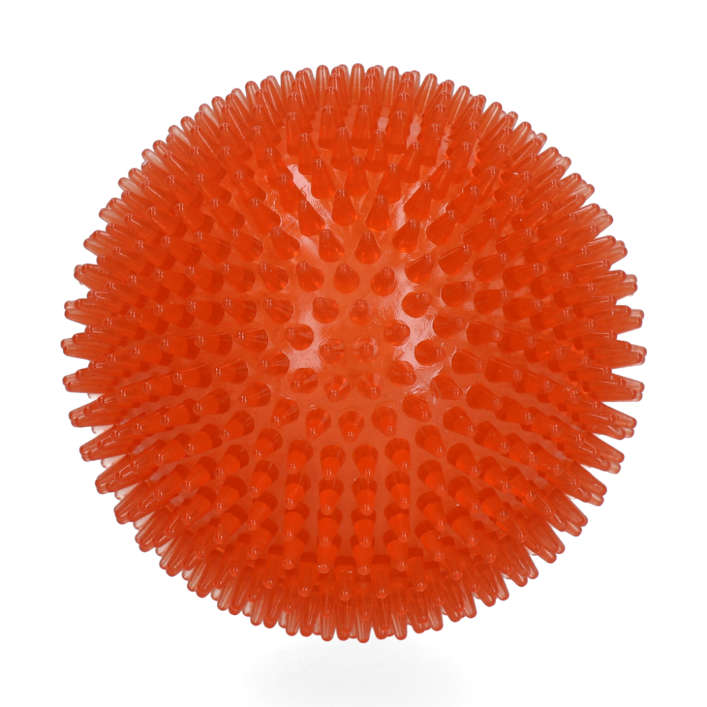 Dog Comets Exoplanet Egelbal L Oranje