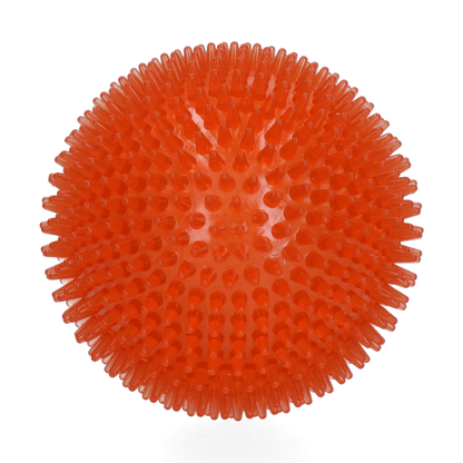 Dog Comets Exoplanet Egelbal L Oranje