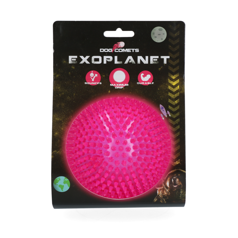 Dog Comets Exoplanet Egelbal L Roze