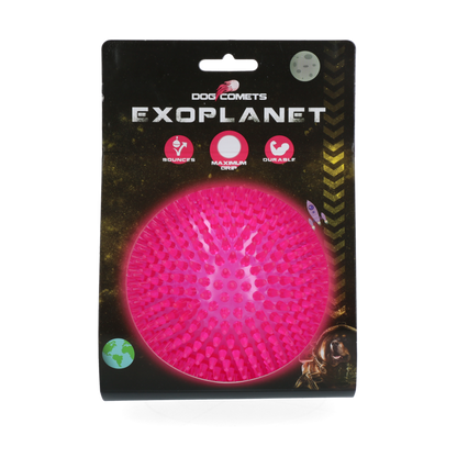 Dog Comets Exoplanet Egelbal L Roze