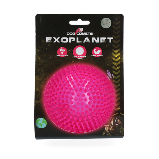 Dog Comets Exoplanet Egelbal L Roze