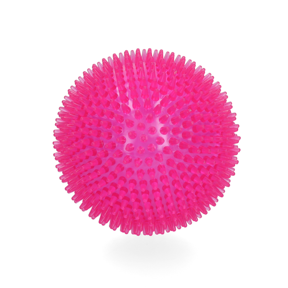 Dog Comets Exoplanet Egelbal L Roze