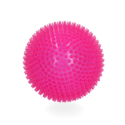 Dog Comets Exoplanet Egelbal L Roze