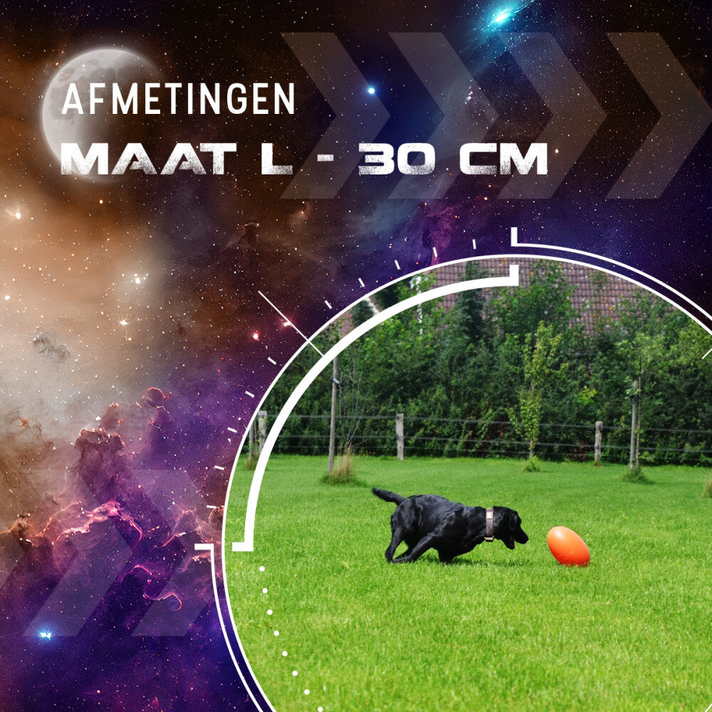 Dog Comets Pan-Stars Oranje L