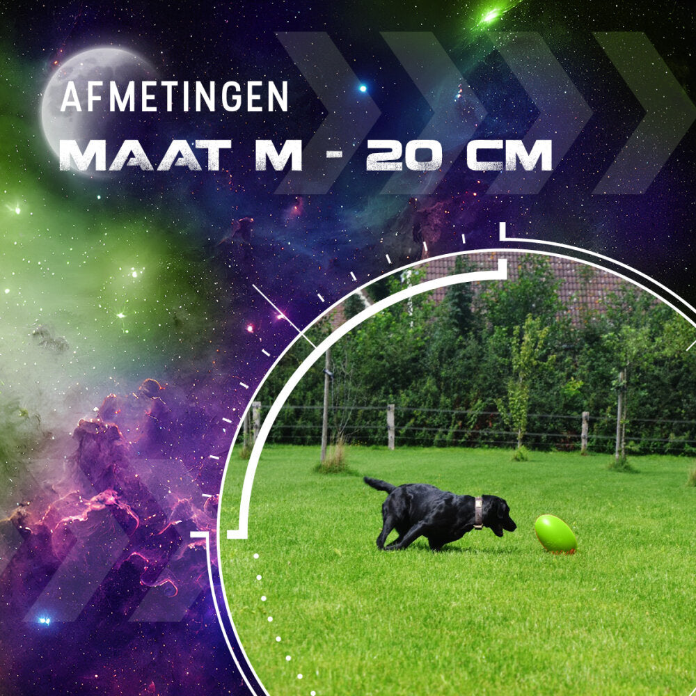 Dog Comets Pan-Stars Groen M