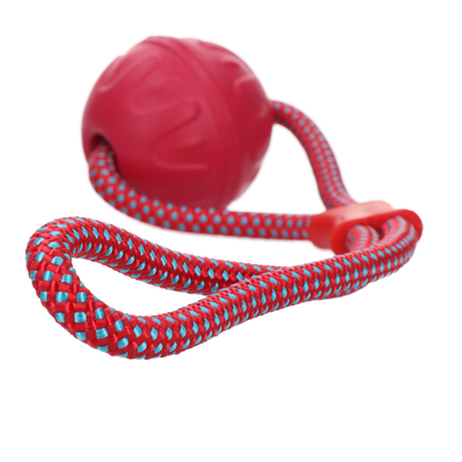 Dog Comets Vortex Loop Roze