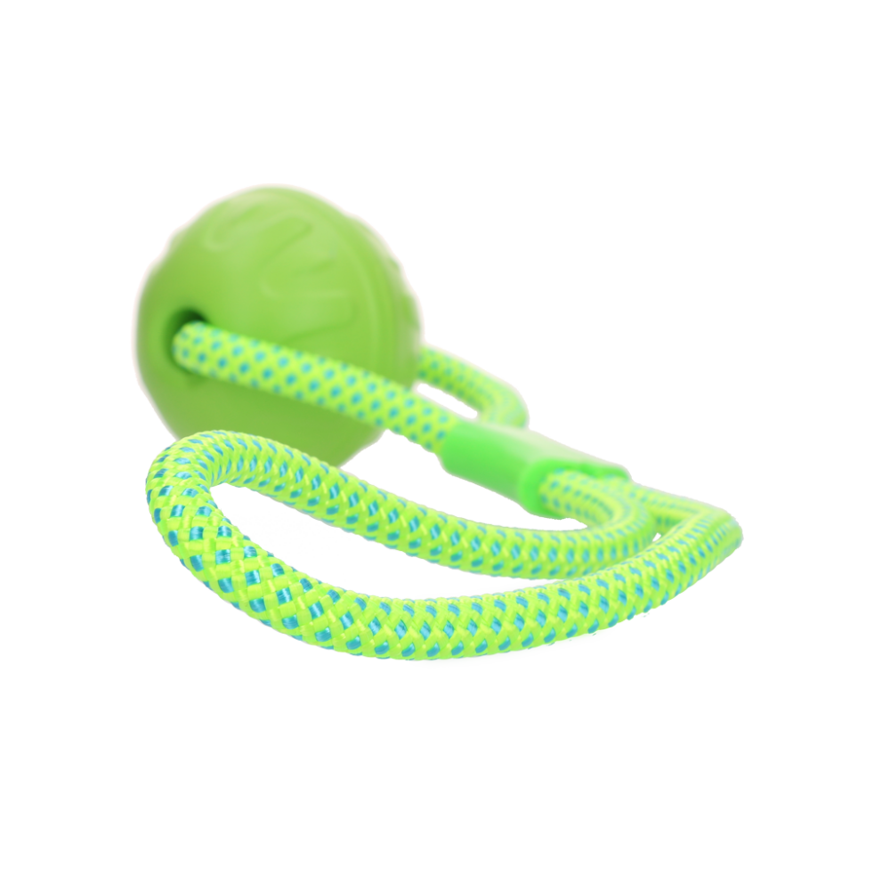 Dog Comets Vortex Loop Groen