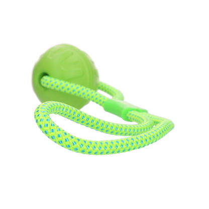 Dog Comets Vortex Loop Groen