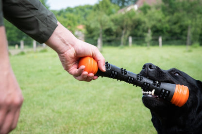 Dog Comets Meteor Werpstok Oranje L