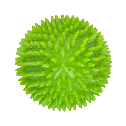 Dog Comets Cosmic Egg Groen L