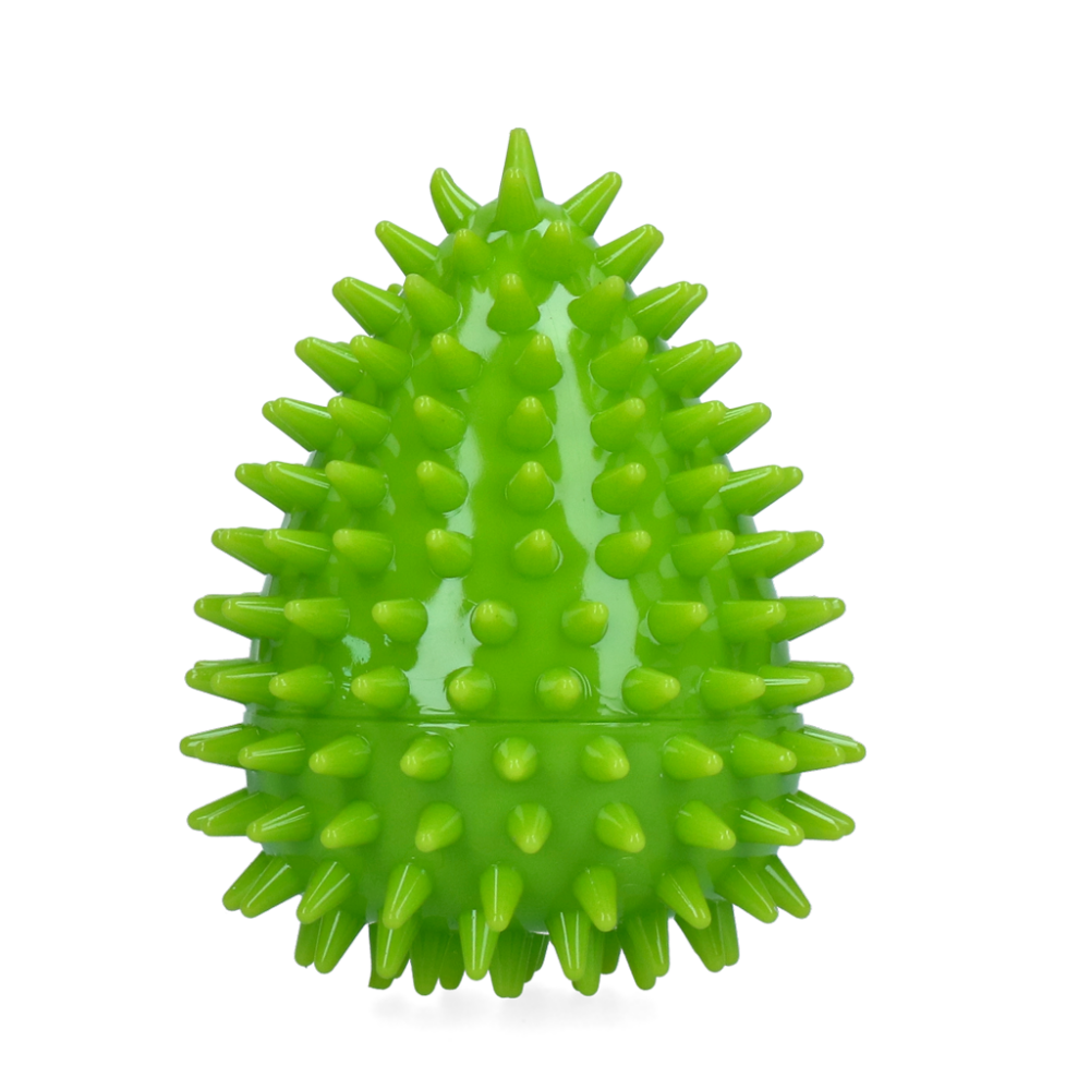 Dog Comets Cosmic Egg Groen M