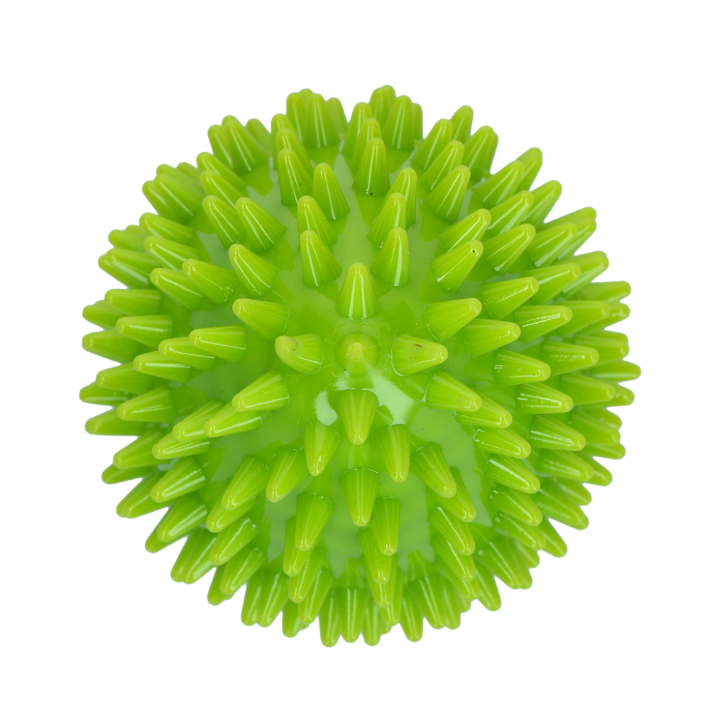 Dog Comets Cosmic Egg Groen M